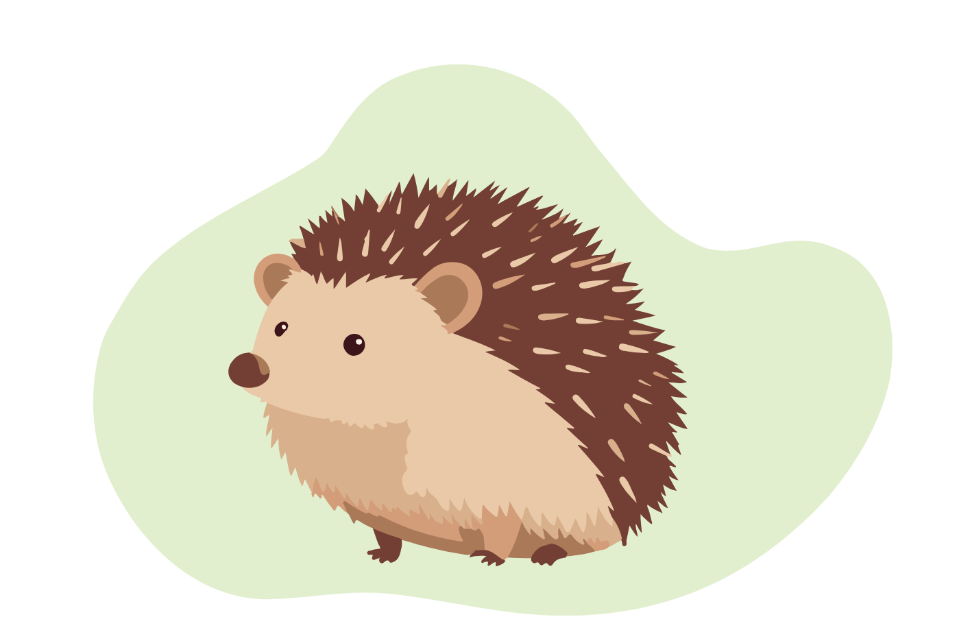 Hedgehog